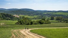 Zöld úton a Bakonyban, avagy Rómer Flóris nyomában