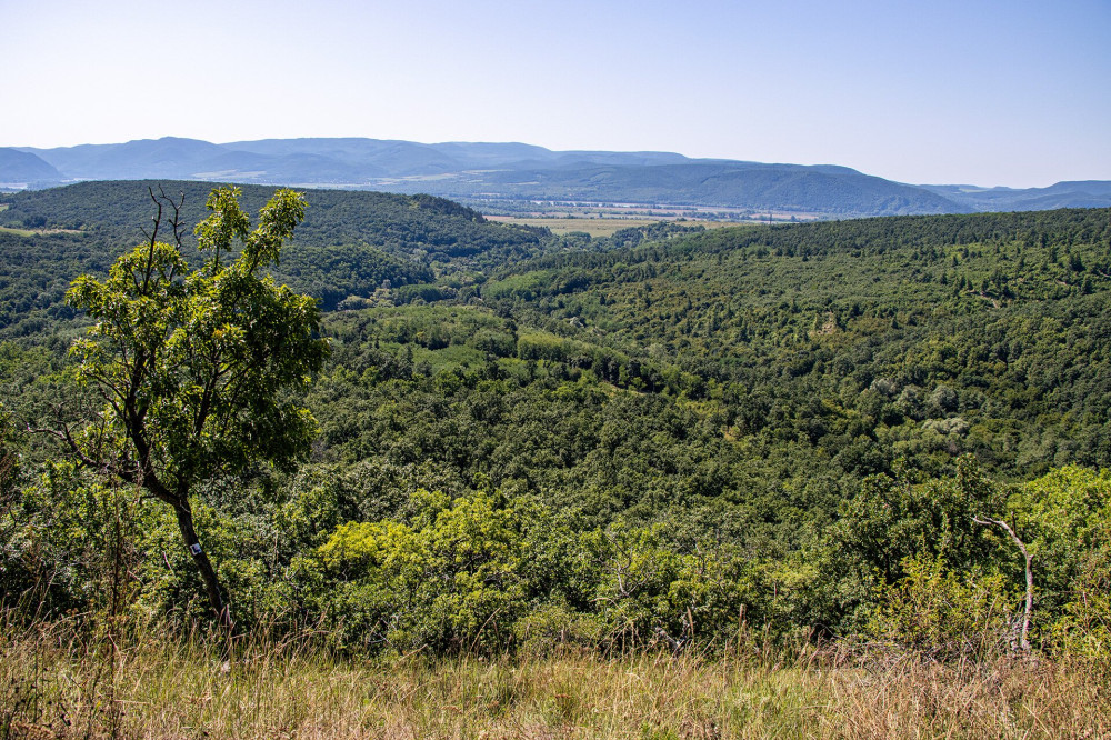 Zuvárhegyi-panoráma